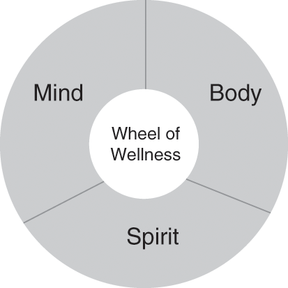 Approach to Wellness (Part I) - The Handbook of Wellness Medicine