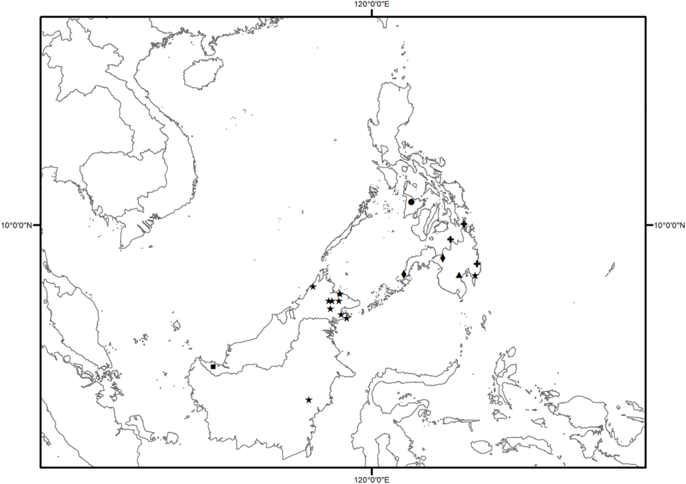 A REVISION OF PTEROSPERMUM (MALVACEAE: DOMBEYOIDEAE) IN MALESIA 