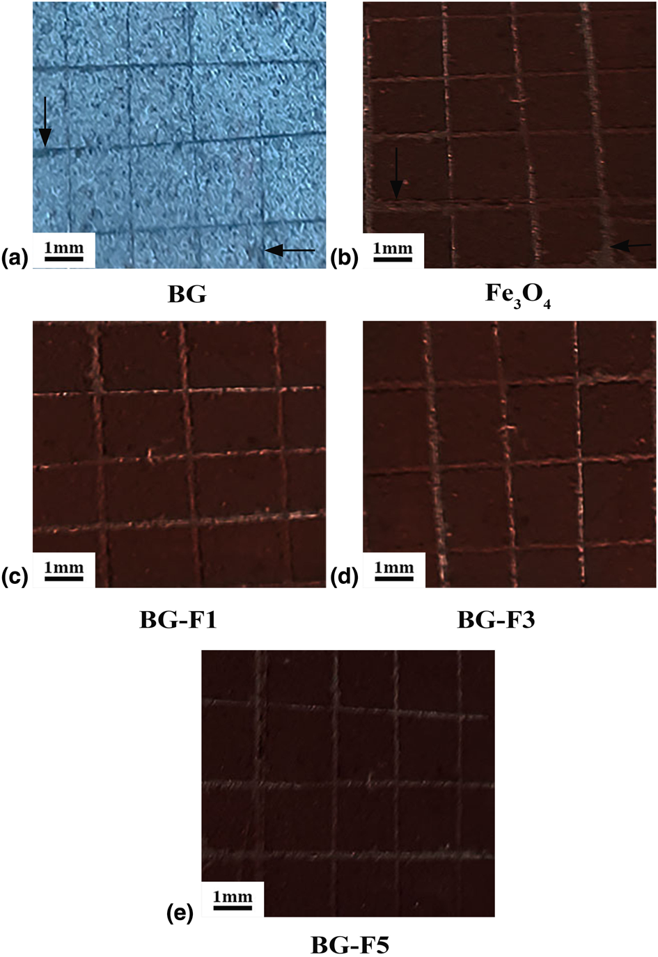 Analysis Of In Vitro Corrosion Behavior And Hemocompatibility Of Electrophoretically Deposited Bioglass Chitosan Iron Oxide Coating For Biomedical Applications Journal Of Materials Research Cambridge Core