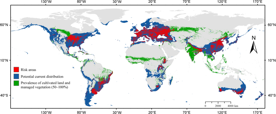 Current and future global potential distribution of the fruit fly ...