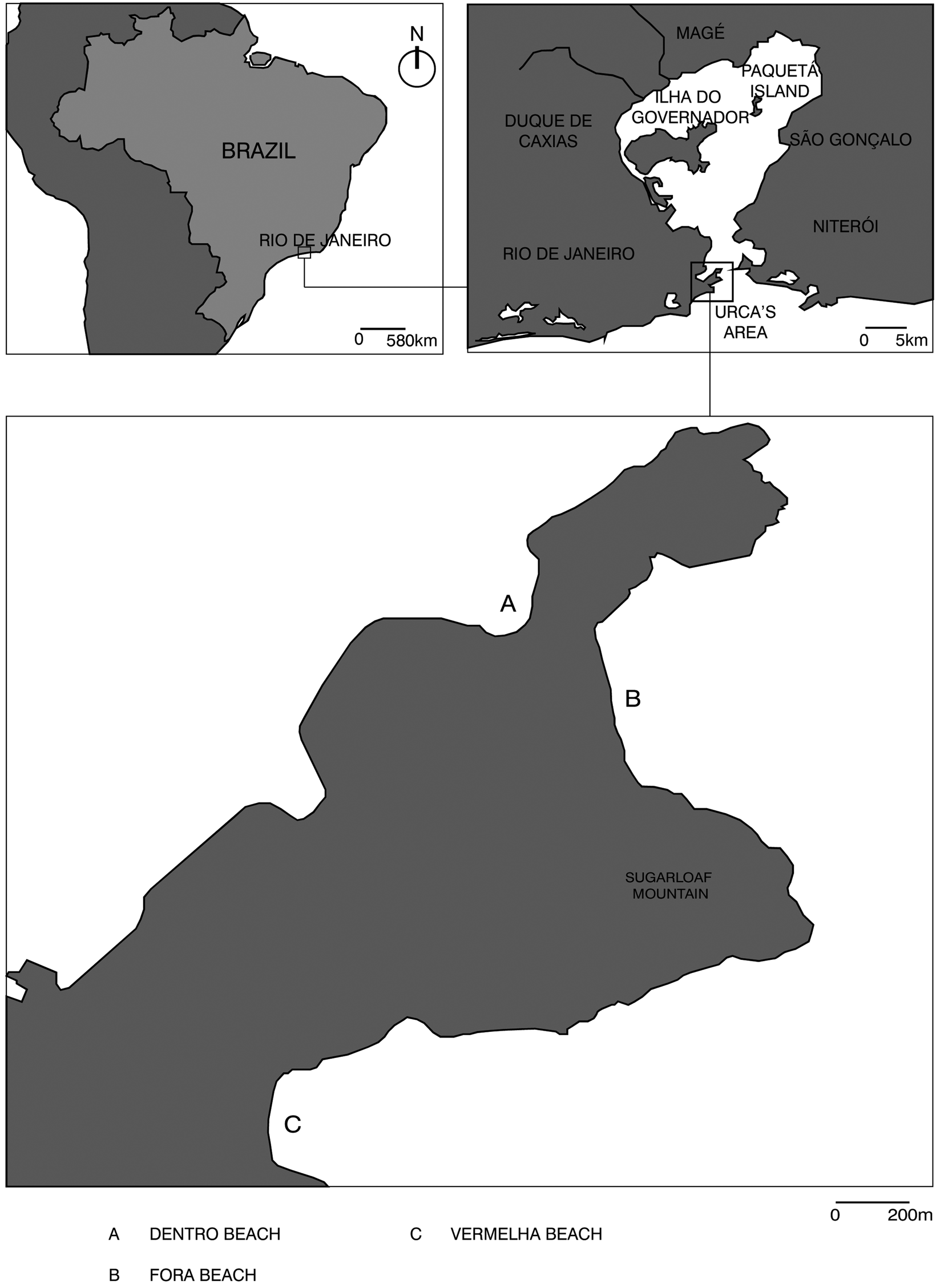 The Influence Of Size On The Trophic Interactions Between Juveniles Of Two Syntopic Trachinotus Species Journal Of The Marine Biological Association Of The United Kingdom Cambridge Core