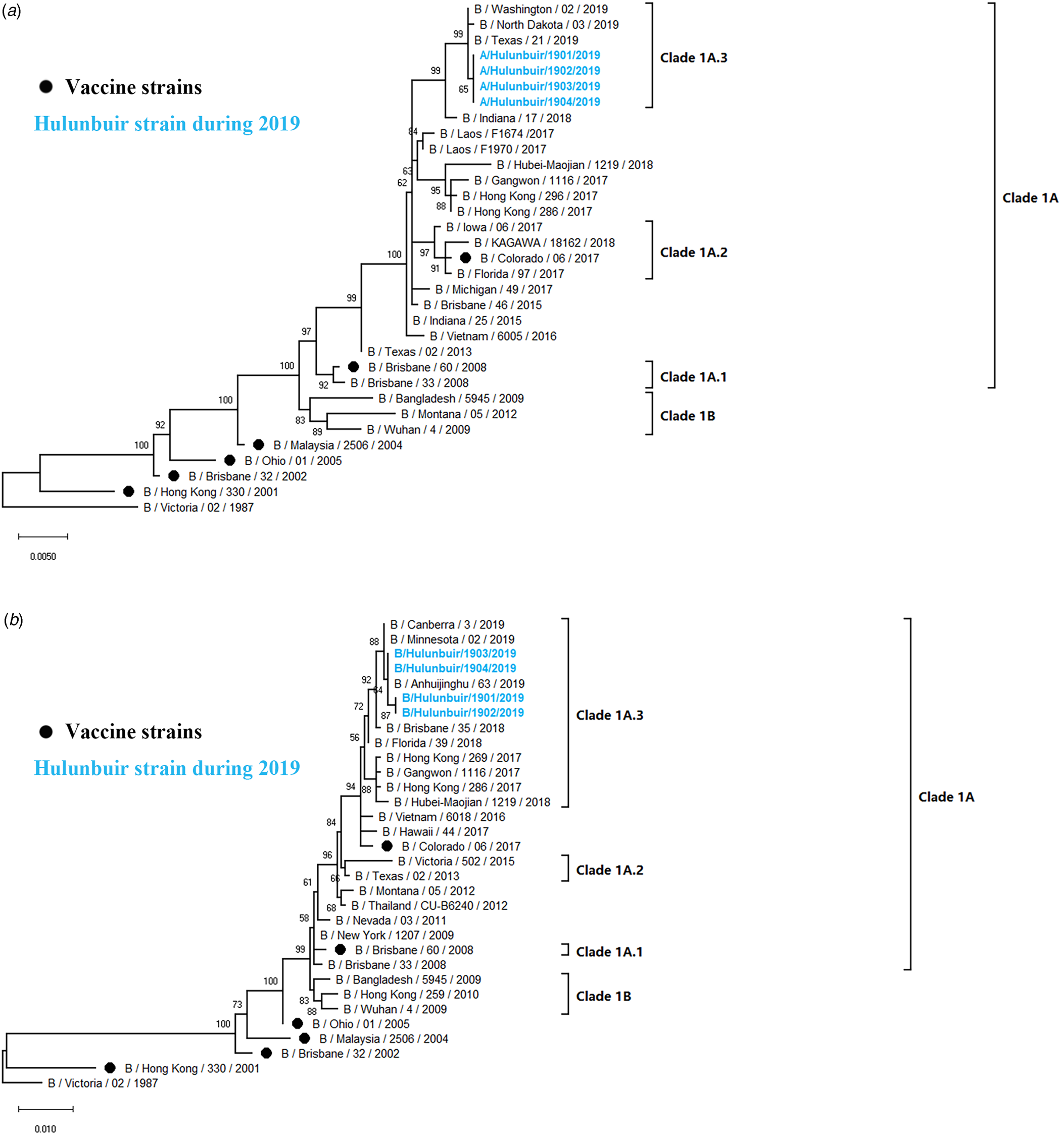 Epidemiological And Genetic Characteristics Of Influenza Virus And The ...