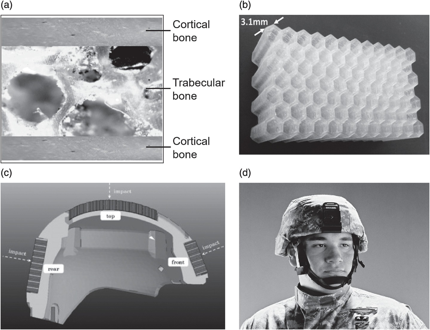 Bioinspired Structures and Design