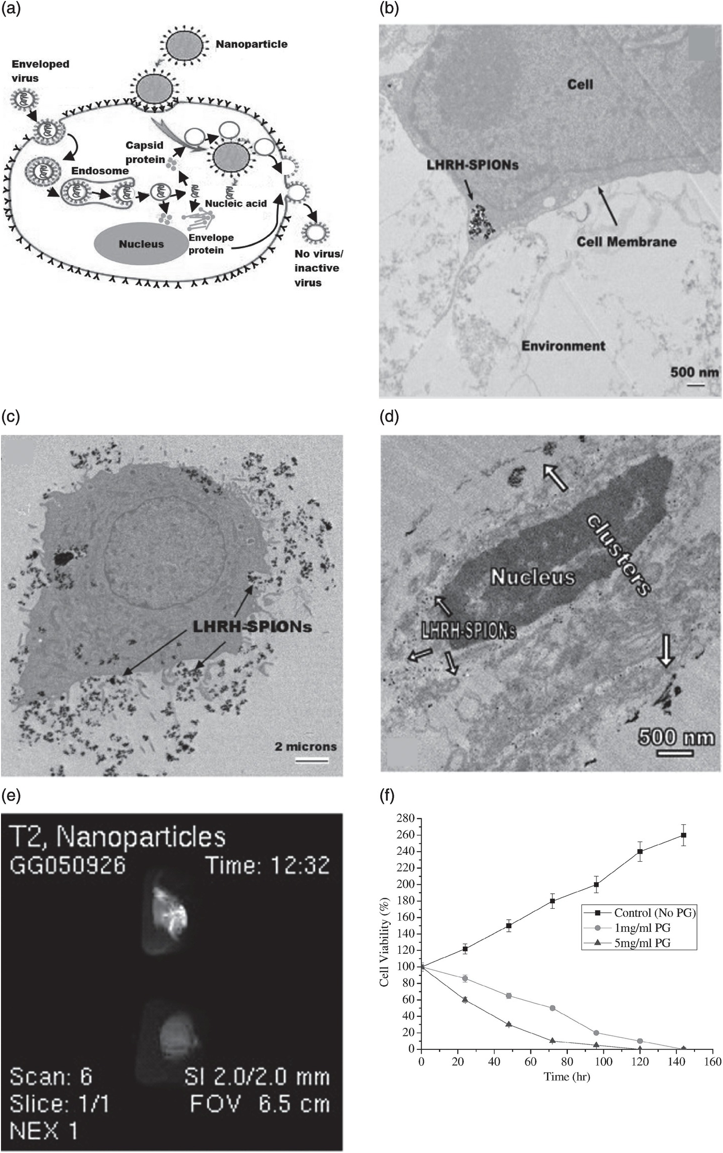 Bioinspired and Biomimetic Design of Multilayered and Bioinspired and Biomimetic Design of Multilayered and