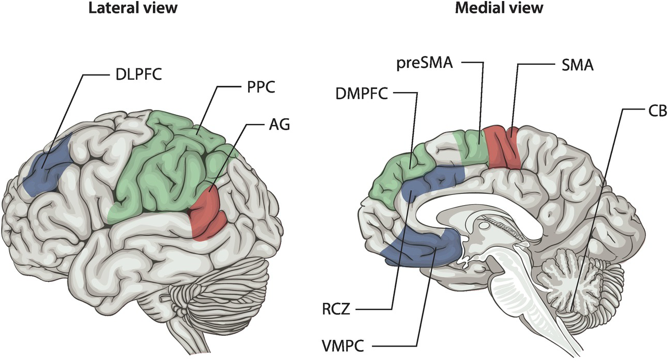human brain mapping supplement