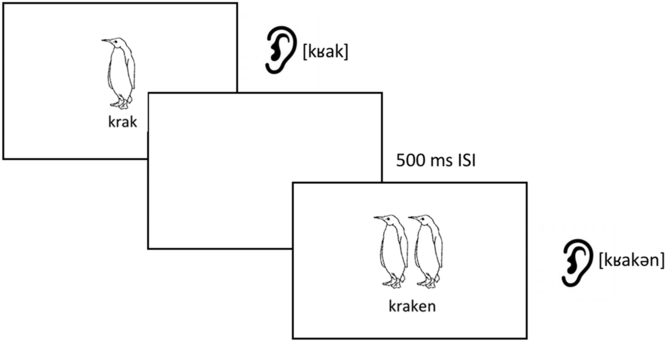 The Emergence of Phonology: Whole-word Approaches and Cross