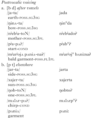 Opaque Distributional Generalisations In Tundra Nenets Phonology Cambridge Core