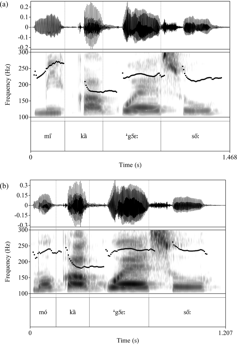 Seenku Journal Of The International Phonetic Association Cambridge Core