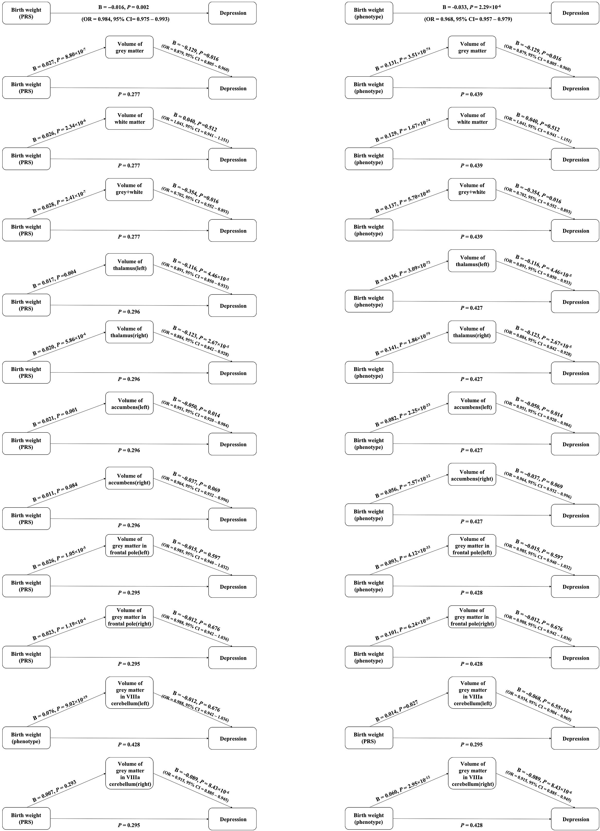 Evaluating The Effect Of Birth Weight On Brain Volumes And Depression An Observational And Genetic Study Using Uk Biobank Cohort European Psychiatry Cambridge Core