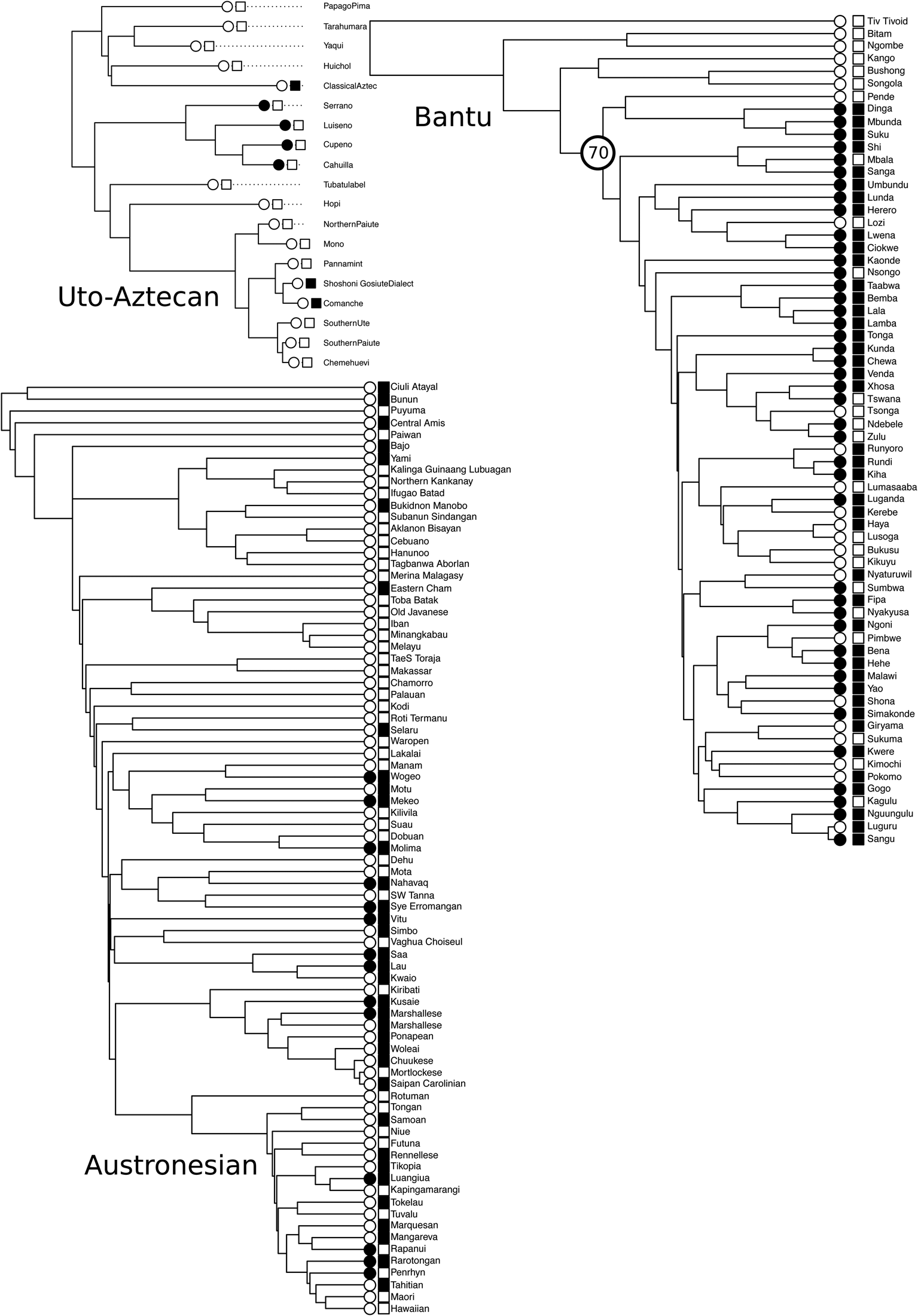 No universals in the cultural evolution of kinship terminology |  Evolutionary Human Sciences | Cambridge Core