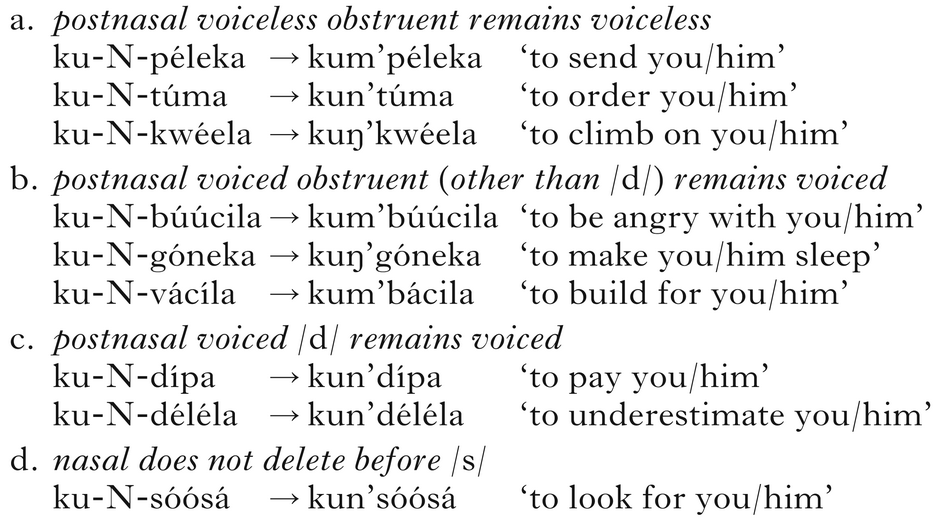 Nasal consonants, sonority and syllable phonotactics: the dual nasal ...