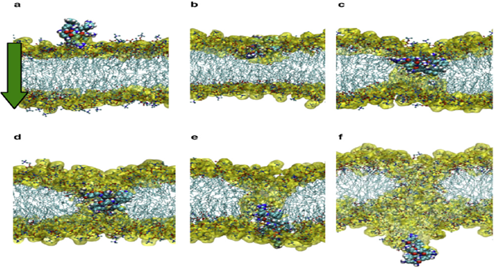 Walter van der Vliet on LinkedIn: #ngs #sarscov2 #rcpcr