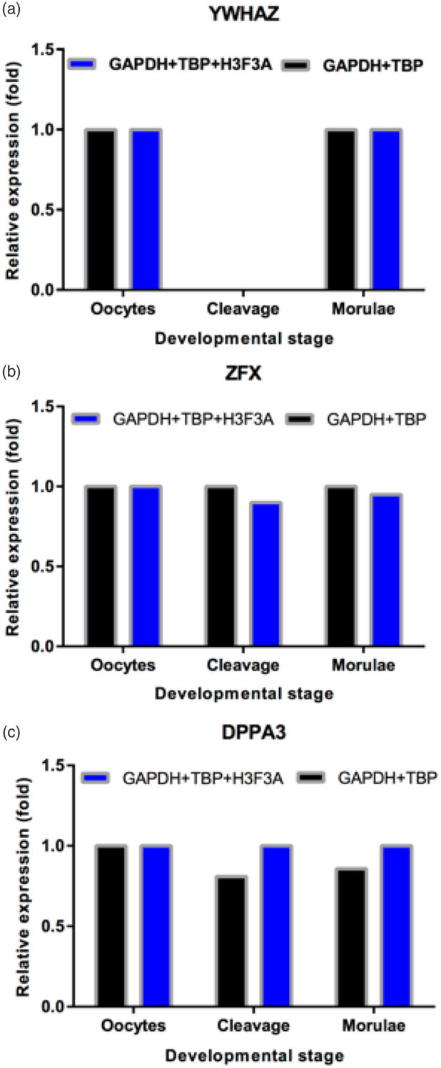 Housekeeping genes for RTqPCR in ovine preimplantation embryos