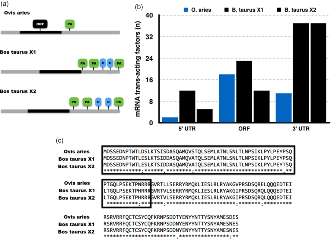 Housekeeping genes for RTqPCR in ovine preimplantation embryos