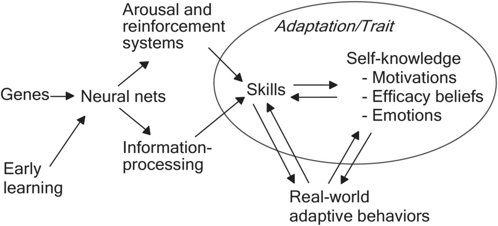 Dark Domain on X: I now present to you Screaming-blob-triangle thing.  Otherwise known as Ditto's beta evolution  / X