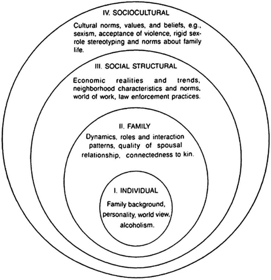 Macrosystem and Women s Fear of Crime in Intimate Relations An  