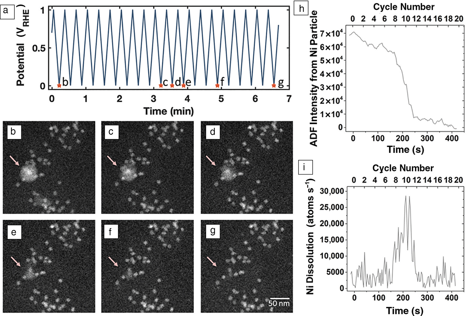 In Situ Electrochemical Scanning/transmission Electron Microscopy Of ...