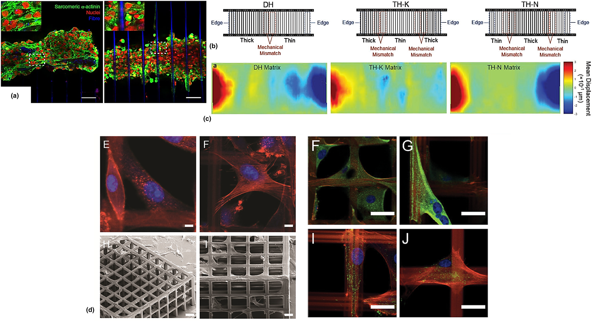 Architected mechanical designs in tissue engineering | MRS Communications |  Cambridge Core