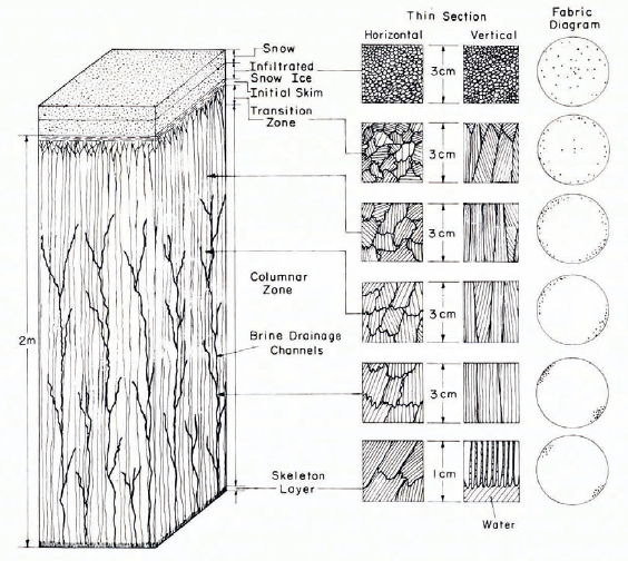 The Crystalline Structure of Ice, Journal of Glaciology