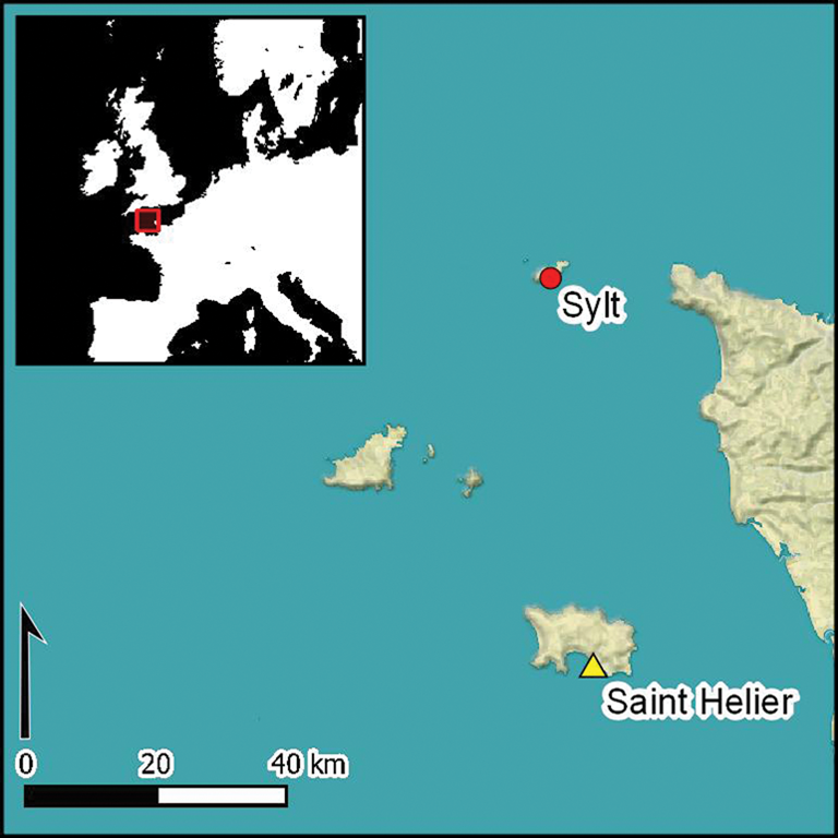A map of the British Channel zoomed into the Sylt camp on Alderny, just west of the northernmost point of France.
