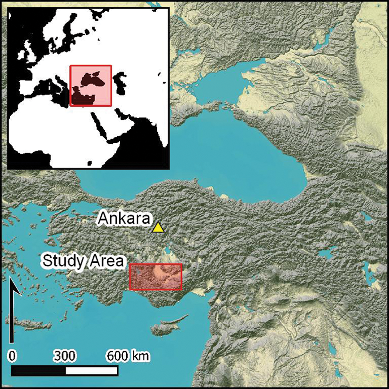Aşıklı Höyük: The Generative Evolution of a Central Anatolian PPN  Settlement in Regional Context