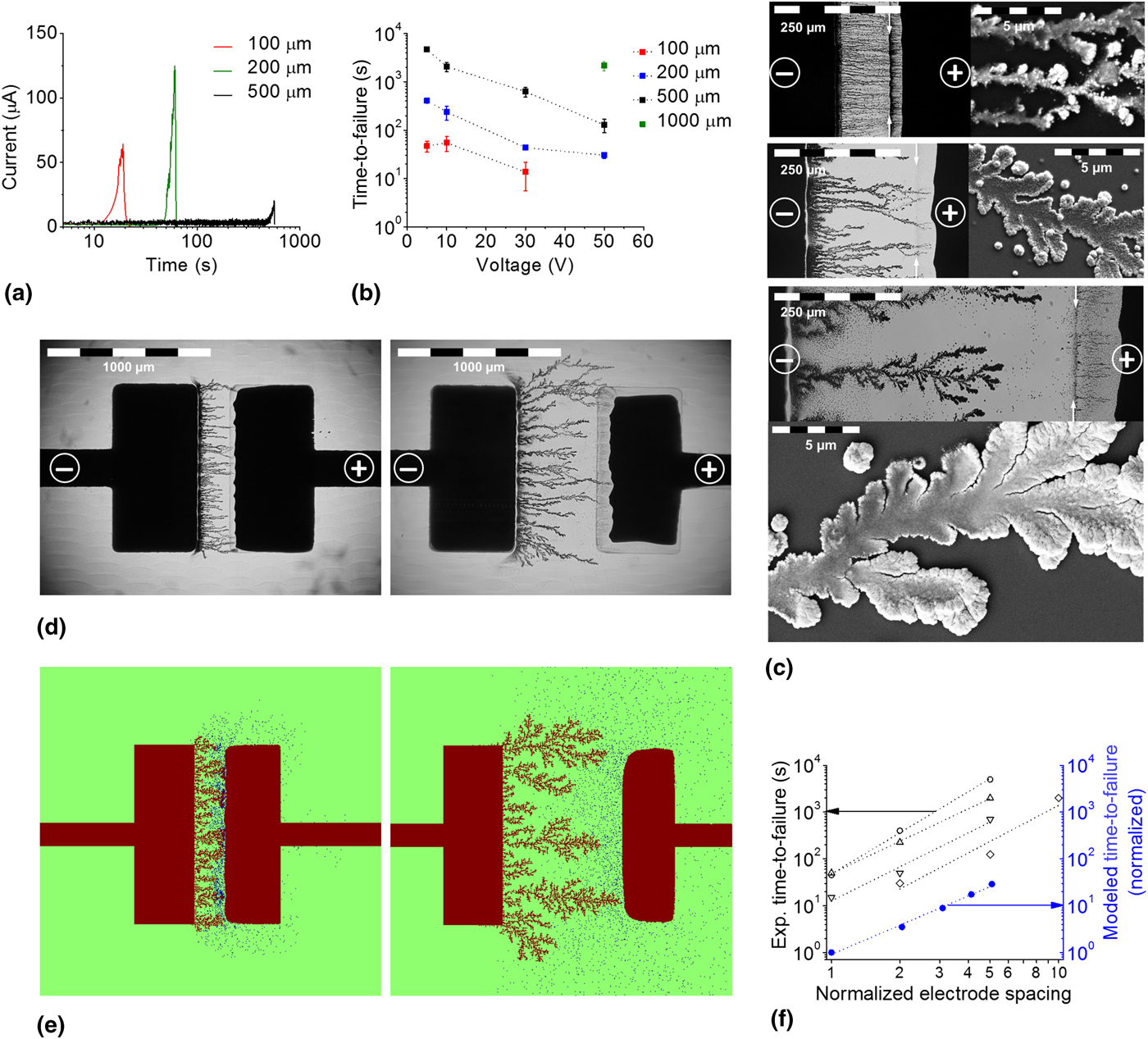 Lifetime limitations in organic electronic devices due to metal