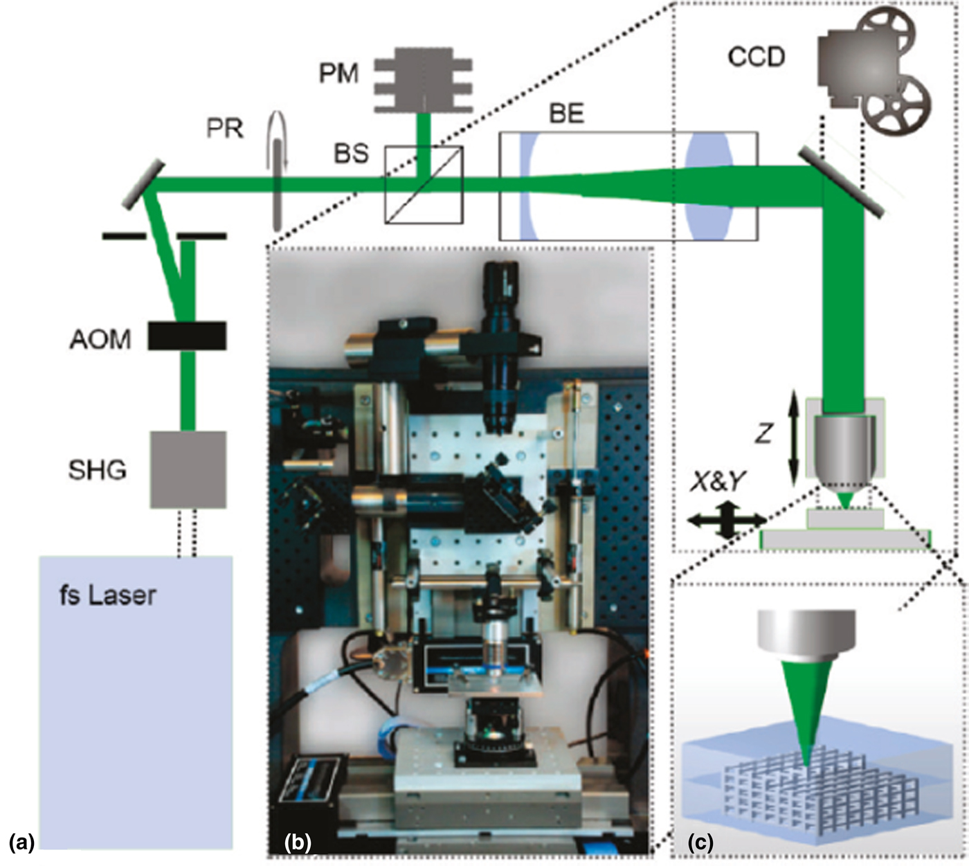 Gelatin-based hydrogels for biomedical applications | MRS