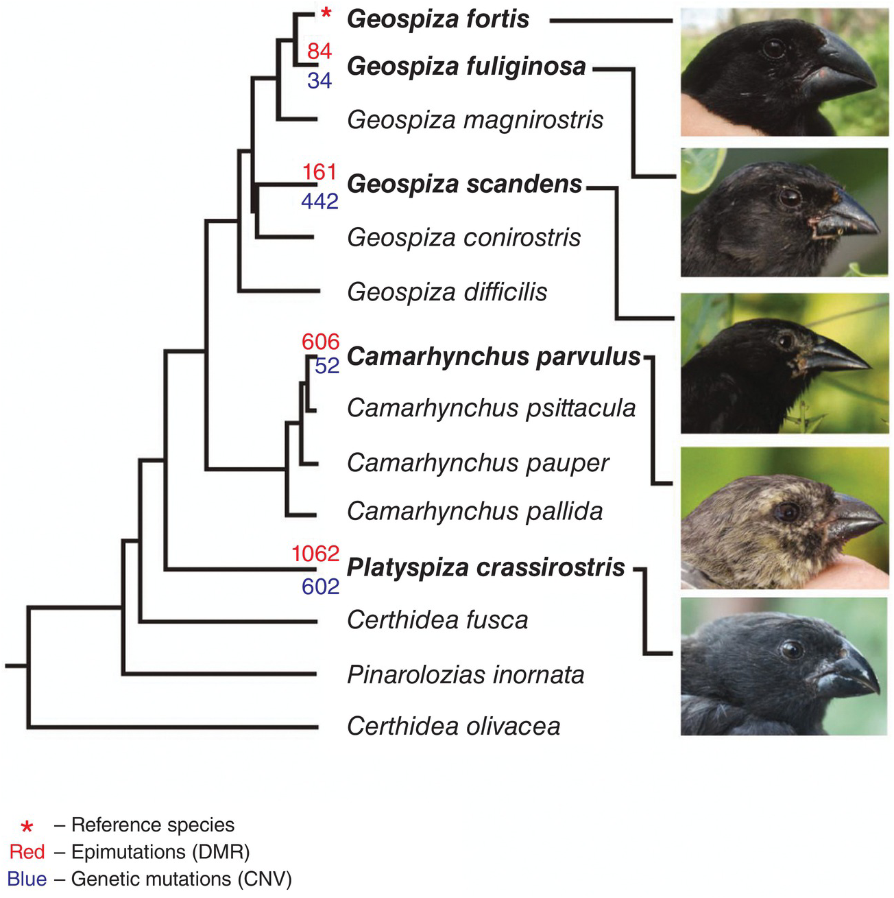 Biological Evolution Chapter 1 Biological Evolution