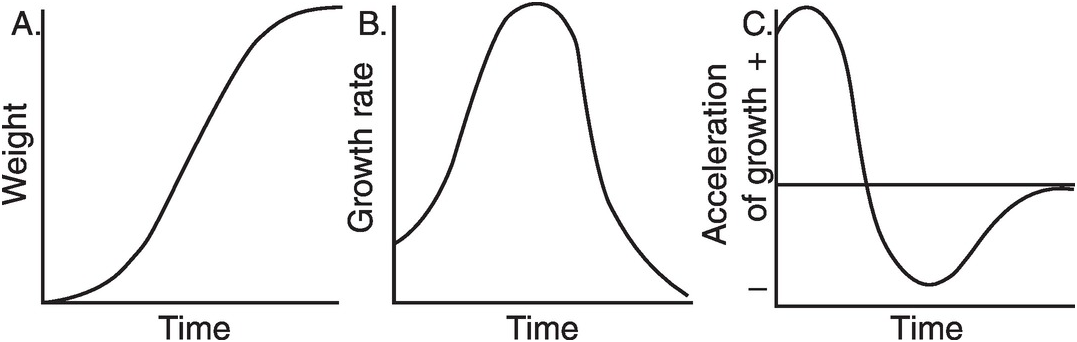 The Evolution Of Human Growth Chapter 3 Patterns Of Human Growth