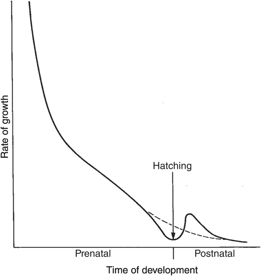 Sigmoid Growth Curve Bioninja