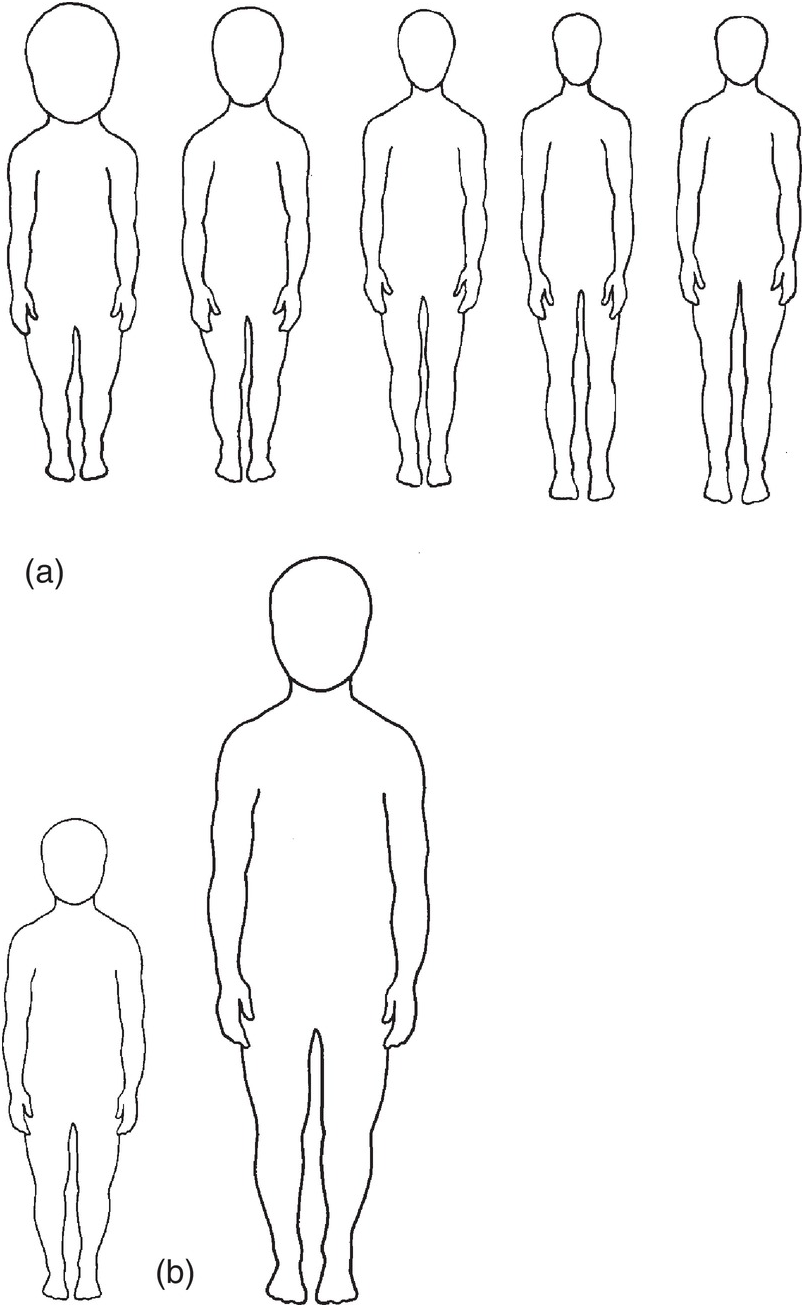 Evolution of the Human Life Cycle (Chapter 4) - Patterns of Human Growth