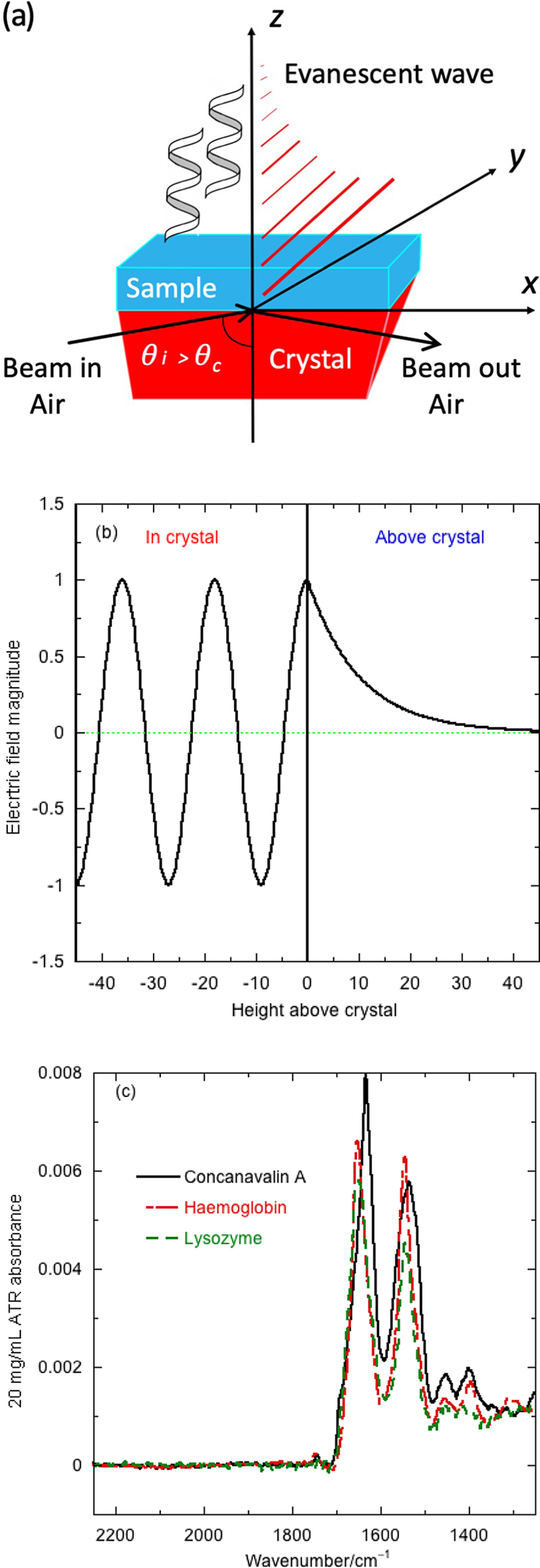 Transformation Of Aqueous Protein Attenuated Total Reflectance Infra ...