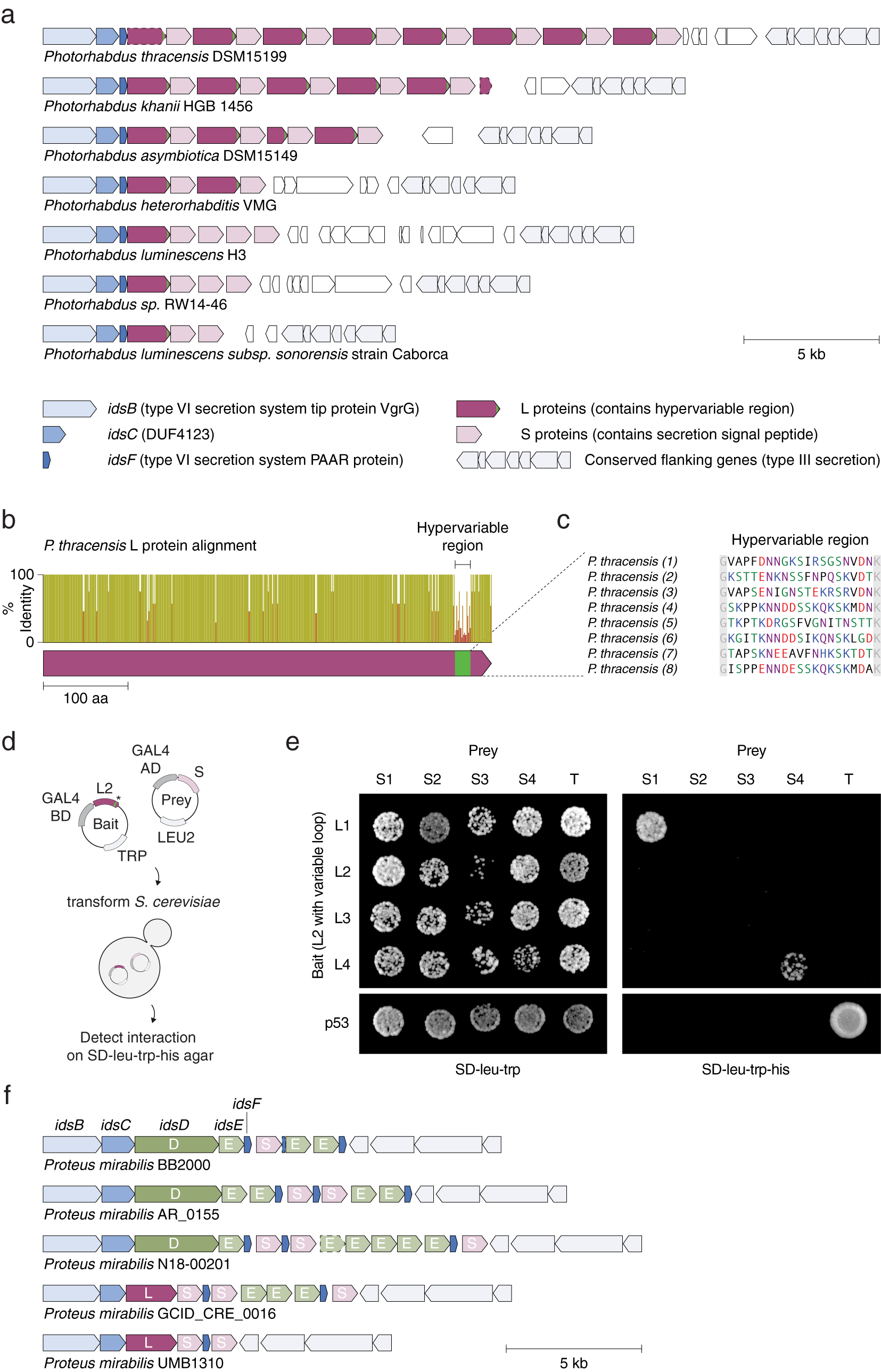 Computational Identification of Repeat-Containing Proteins and Systems, QRB Discovery