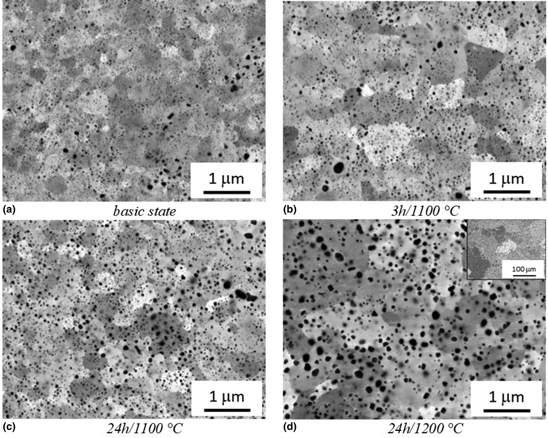 Development of advanced Fe–Al–O ODS alloy microstructure and properties ...
