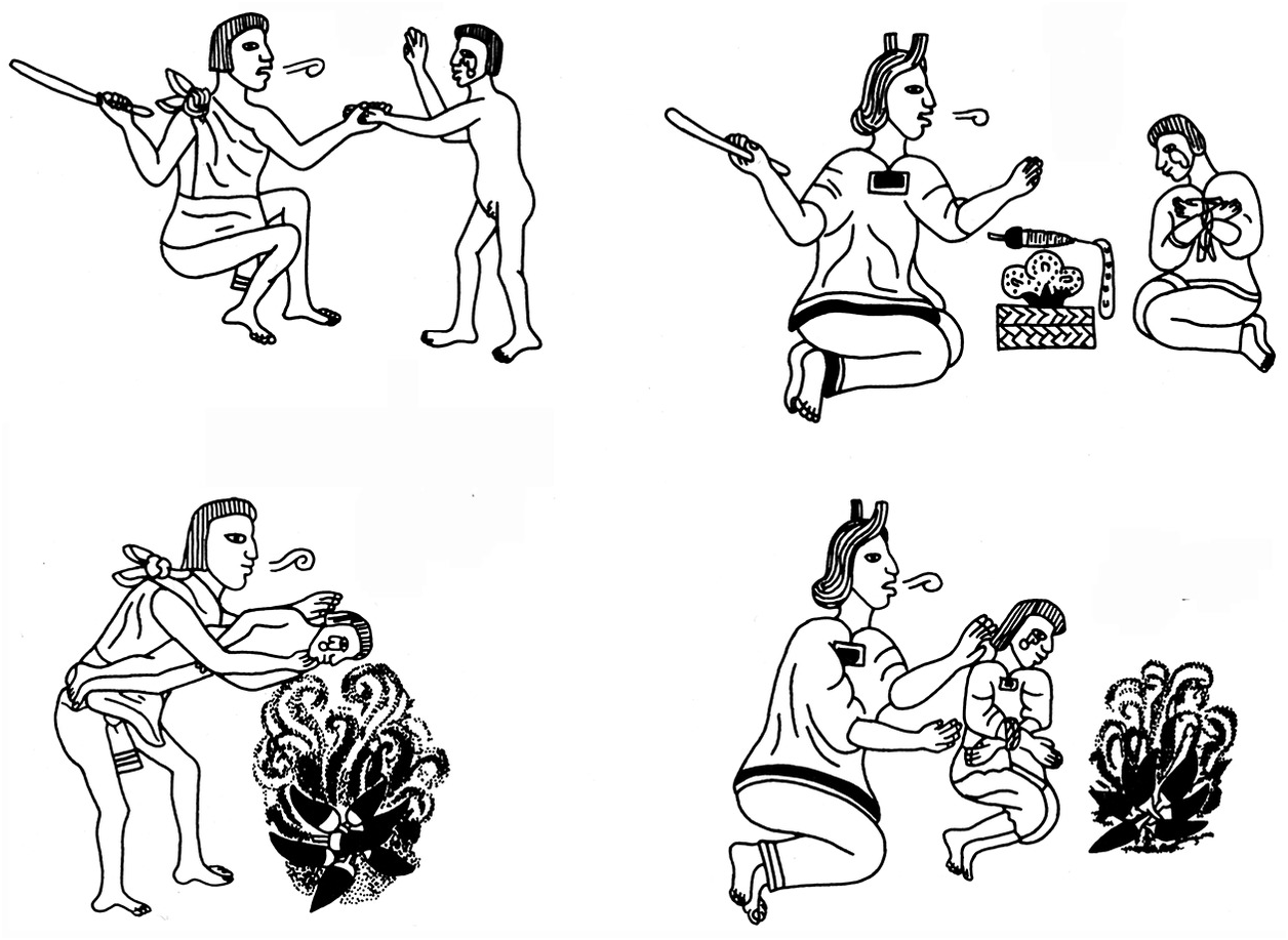 A Child Is Born Chapter 7 Everyday Life In The Aztec World