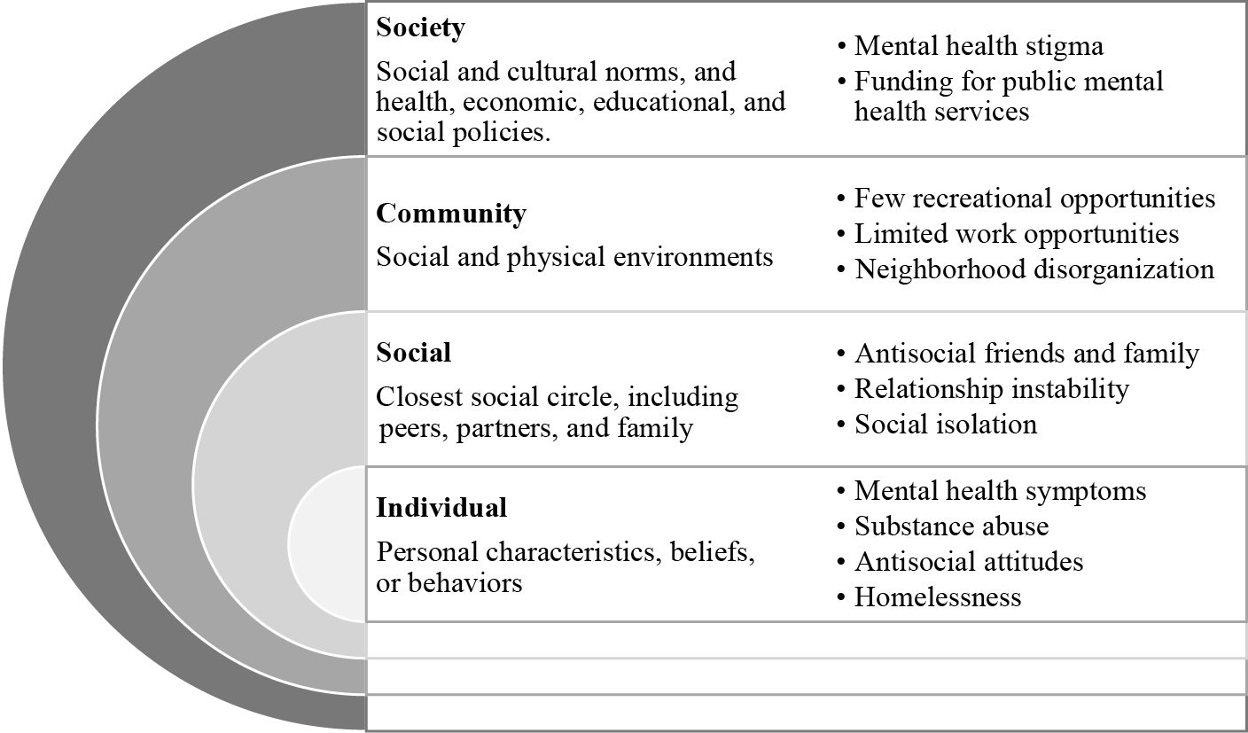 principles-and-practices-of-risk-assessment-in-mental-health-jail