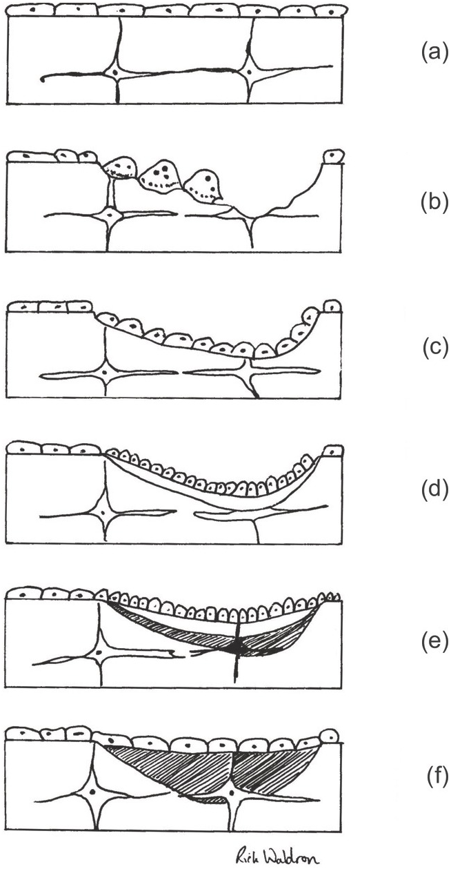 https://static.cambridge.org/binary/version/id/urn:cambridge.org:id:binary:20201103041736656-0899:9781108583961:49958fig2_1.png?pub-status=live