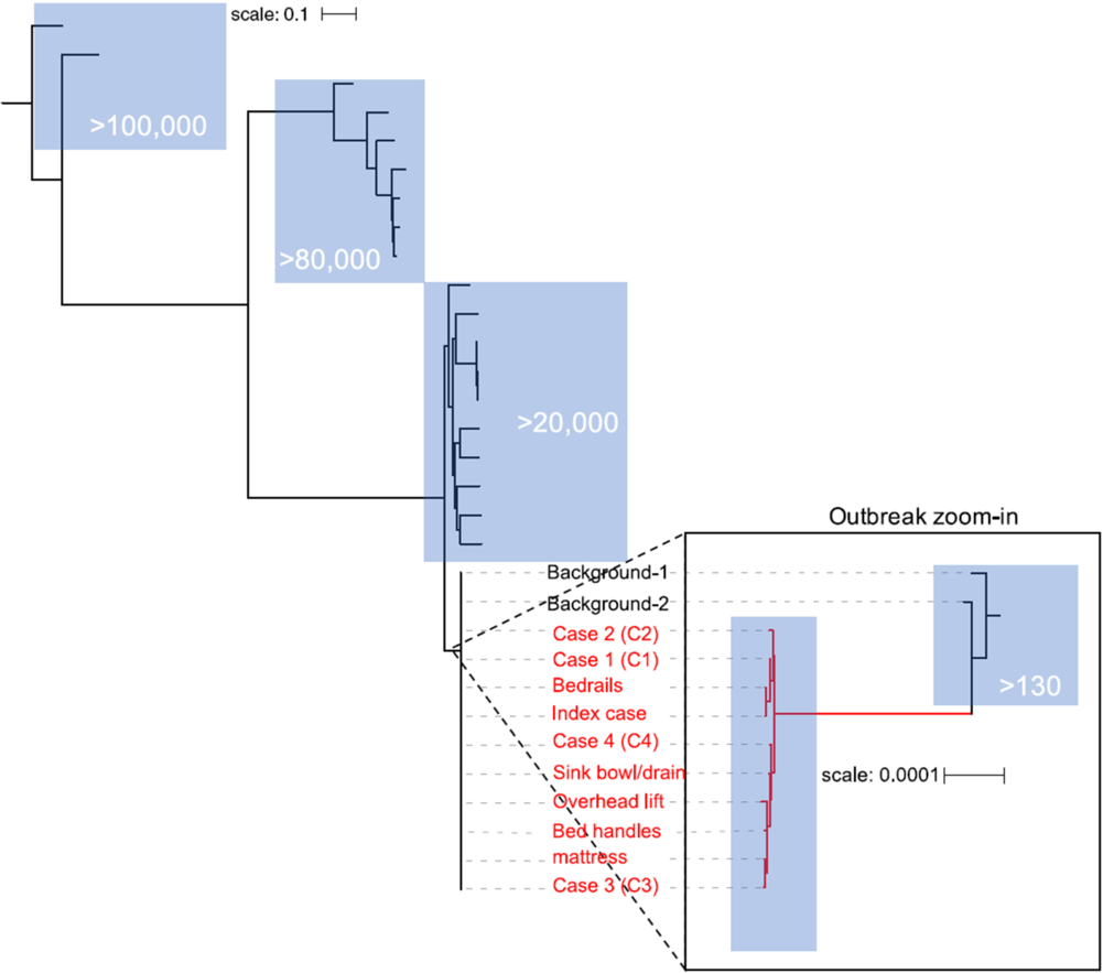 Community Acquired In Name Only A Cluster Of Carbapenem Resistant Acinetobacter Baumannii In A Burn Intensive Care Unit And Beyond Infection Control Hospital Epidemiology Cambridge Core