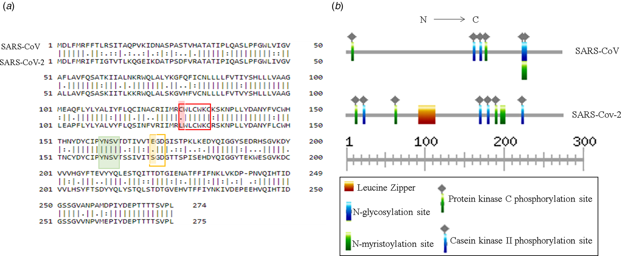 Frontiers  Understanding the Role of SARS-CoV-2 ORF3a in Viral