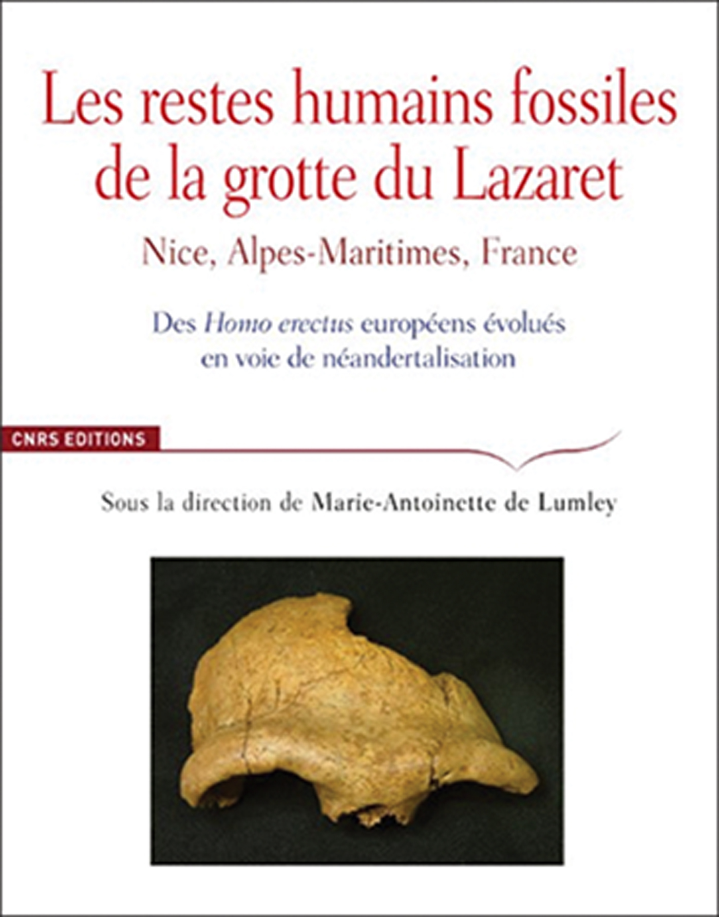 Marie Antoinette De Lumley Ed Les Restes Humains Fossiles De La Grotte Du Lazaret 18 Paris Cnrs 978 2 271 118 2 80 Antiquity Cambridge Core
