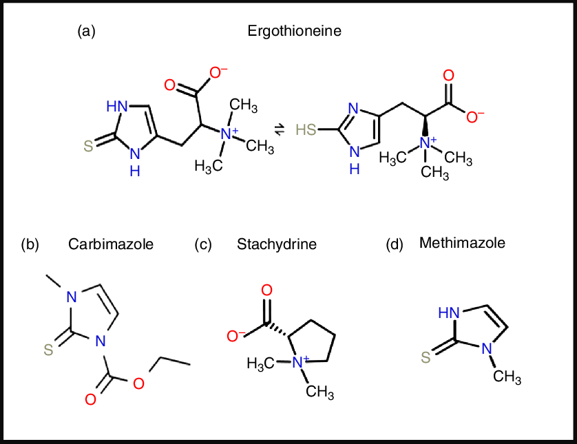 The biology of ergothioneine an antioxidant nutraceutical