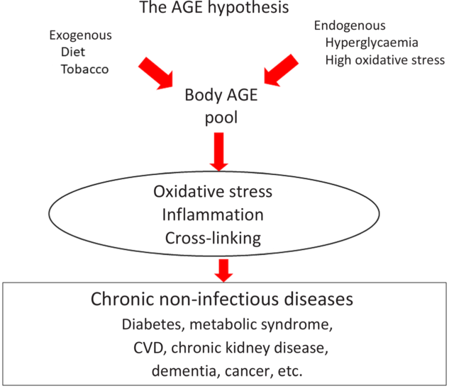 Advanced Glycation End Products