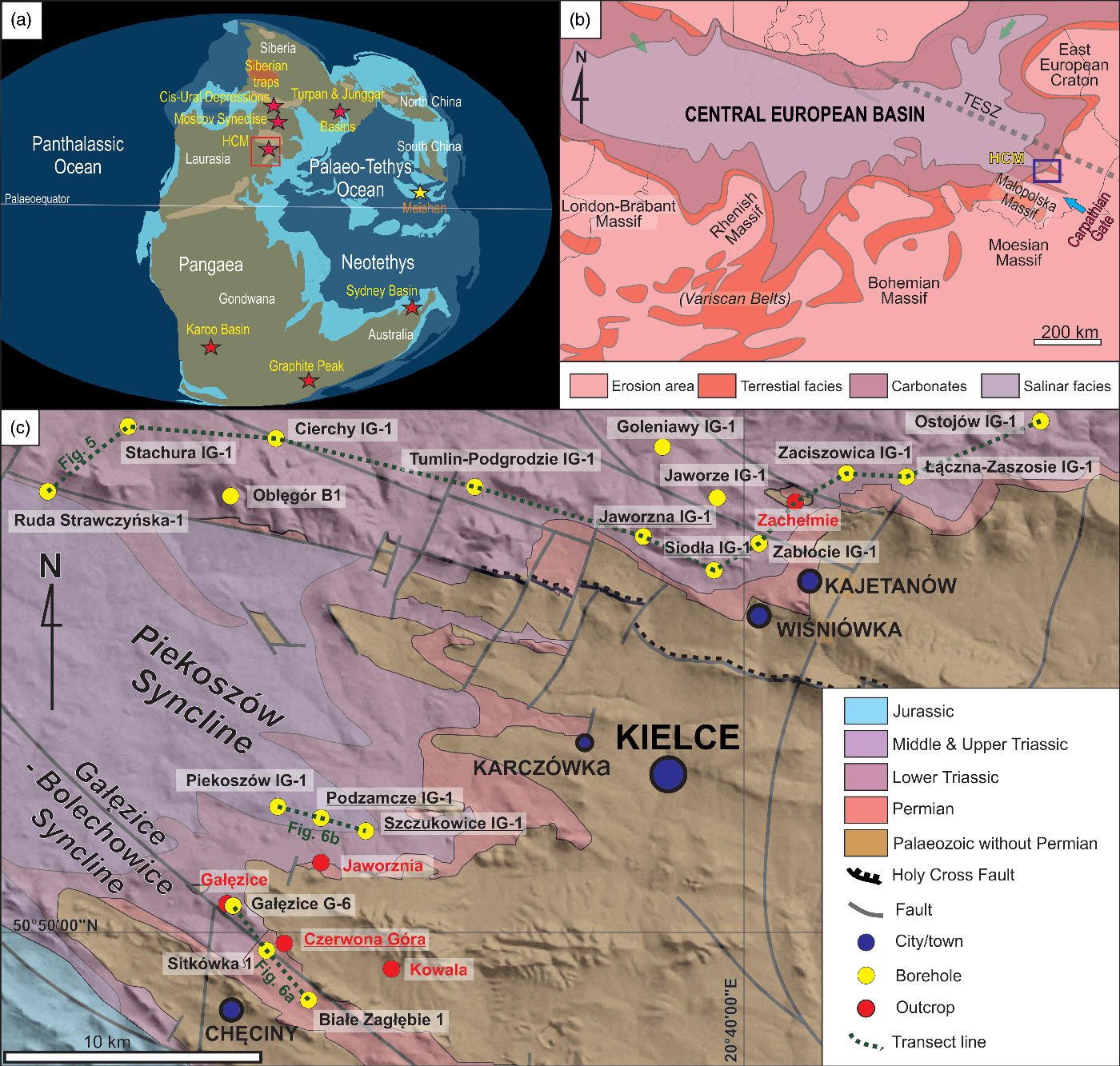 The Permian–Triassic Boundary In Continental Sedimentary Succession At ...