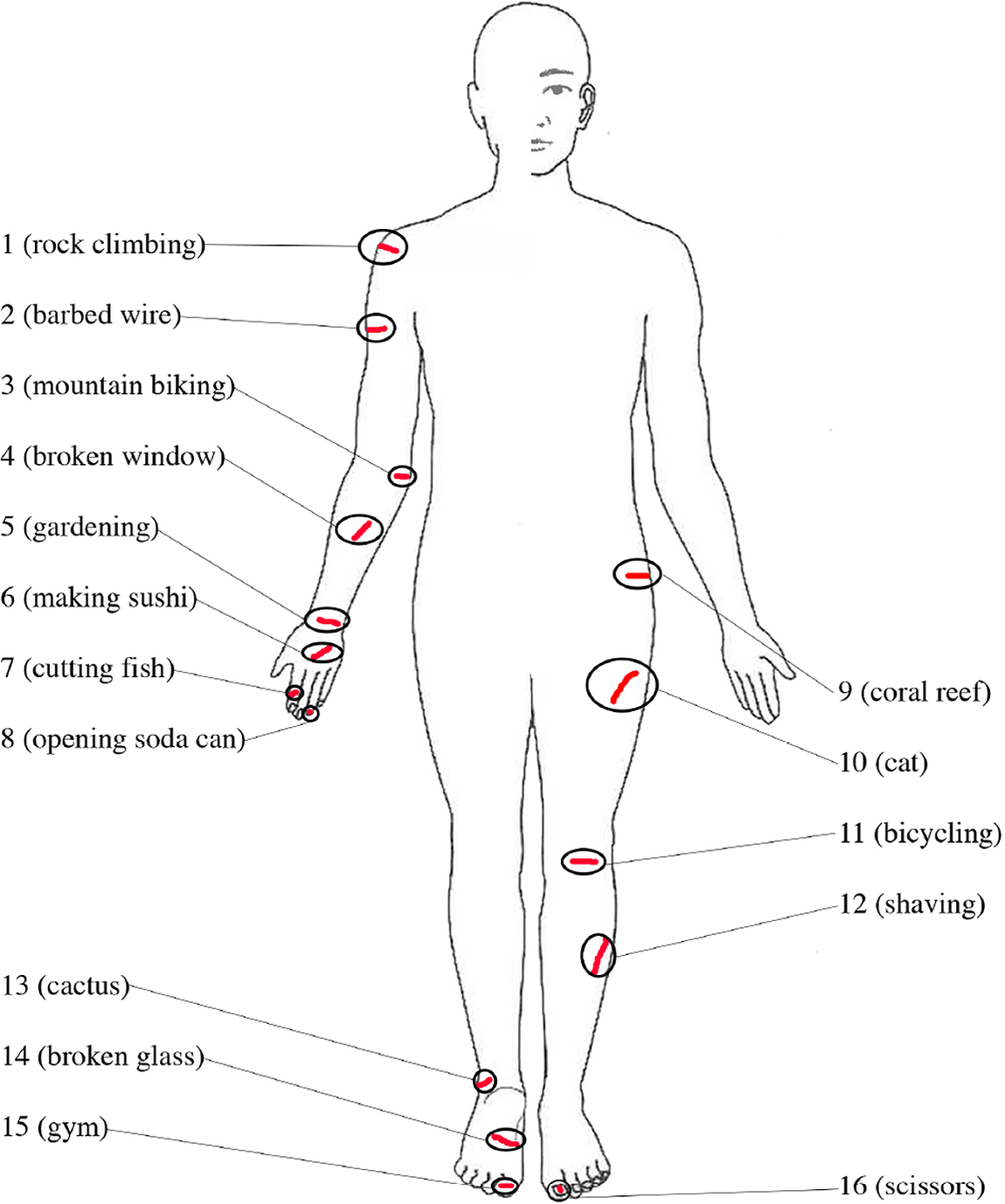 Carving the body at its joints: Does the way we speak about the body ...