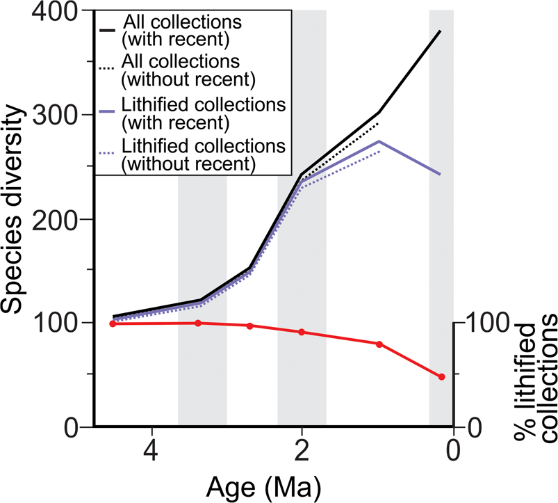 the-pull-of-the-recent-revisited-negligible-species-level-effect-in-a