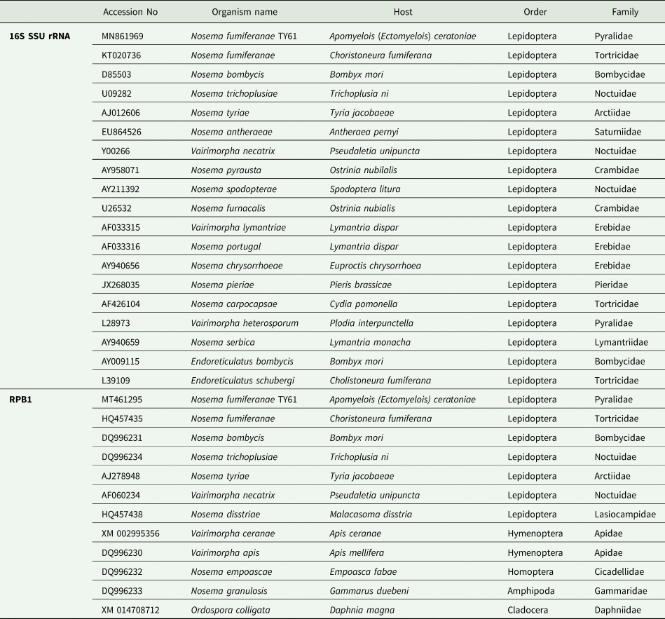 A New Isolate Of Nosema Fumiferanae Microsporidia Nosematidae From The Date Moth Apomyelois Ectomyelois Ceratoniae Zeller 19 Lepidoptera Pyralidae Parasitology Cambridge Core