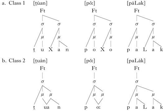 Metrical Structure In Scottish Gaelic Tonal Accent Glottalisation And Overlength Phonology Cambridge Core