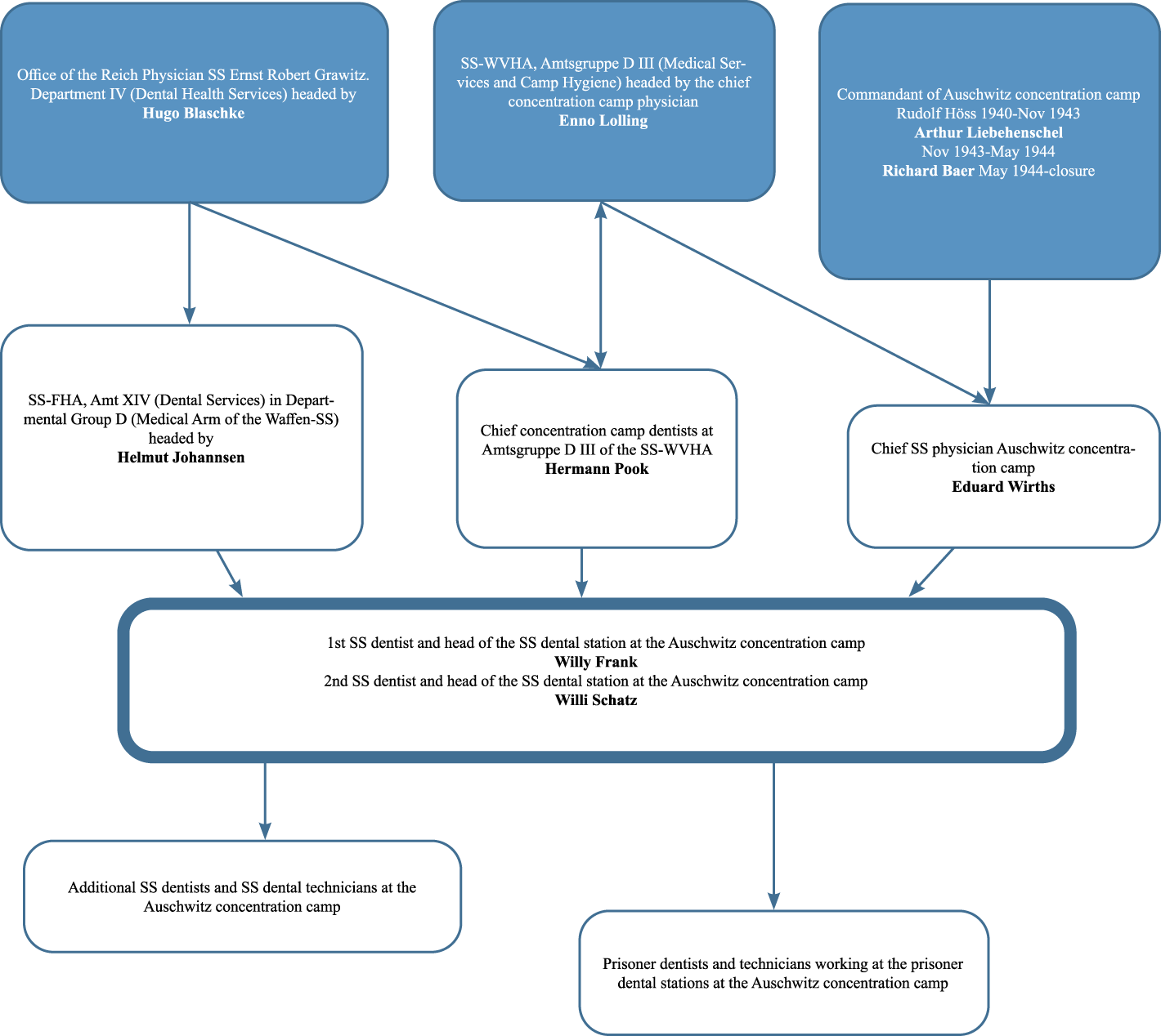 Progressive Entanglements Activity Profiles Responsibilities and