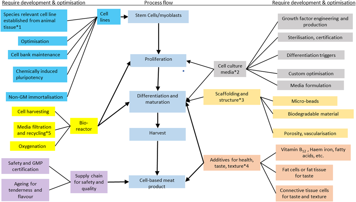 Review: Analysis of the process and drivers for cellular meat ...