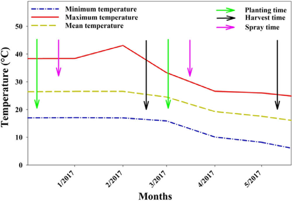 Glyphosate-induced hormesis: impact on seedling growth and 